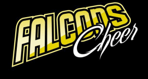 falcons cheer