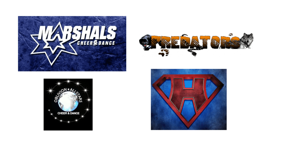 team logo 08